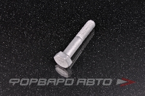 Болт М10*1,25*55 кронштейна генератора ВАЗ 2108 БелЗАН 00001-0058887-219