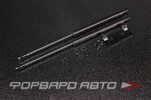 Амортизаторы капота HONDA CRV 2003 AUTOBAHN88 