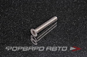 Винт потай  ТХ шлиц нерж. М6*1*40 DIN965 A2 ТХ30 <> 