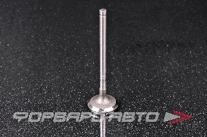 Клапан выпускной N-ROCKY TB-112-0