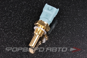 Датчик температуры охлаждающей жидкости Vernet WS2598