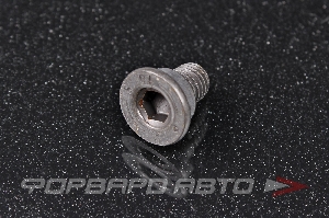 Болт М8*1,25*14  тормозного диска BMW 34 21 1 161 806