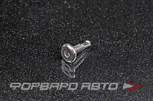 Саморез М5.5 * 12 с внутренним шестигранником 4 мм (нержавеющая сталь) <> 