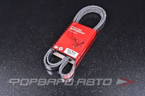 Ремень поликлиновой DONGIL 6PK2010