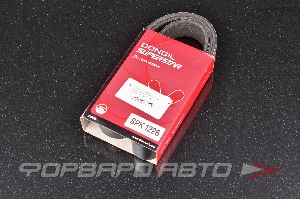 Ремень поликлиновой DONGIL 8PK1226