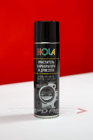 Очиститель карбюратора и воздушной заслонки, 650 мл HOLA H03