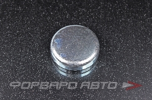 Заглушка блока двигателя WPw-35мм  