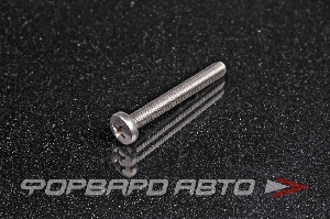 Винт полукруг крест-шлиц нерж. М6*50 DIN7985 A2  