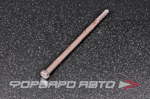 Болт 8*1,25*170 RENAULT 6001547902