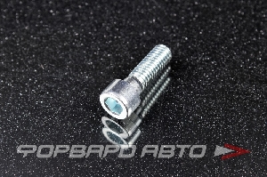 Болт М6*1,0*21 Внутренний шестигранник 5 мм TOYOTA 90110-06017