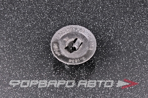 Клипсы RENAULT 7703081056