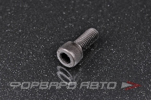 Винт цилиндр. с внутренним шестигранником М8*1,25*20 DIN912 высокопр. пр.12,9  