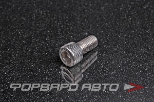 Винт цилиндр. с внутренним шестигранником нерж. М10*1,5*20 DIN912 A2  