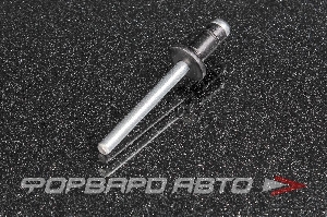 Купить Заклепка лючка бензобака TOYOTA 90269-06017 Заклепка лючка бензобака TOYOTA 90269-06017