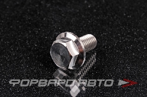 Купить Болт М10*1,5*20 титановый с фланцем FORA TITANIUM DIN6921-10*1.5*20Ti Болт М10*1,5*20 титановый с фланцем FORA TITANIUM DIN6921-10*1.5*20Ti