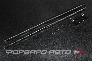 Амортизаторы капота NISSAN X-Trail 03-06 AUTOBAHN88 