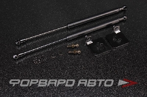 Амортизаторы капота NISSAN March 11 AUTOBAHN88 