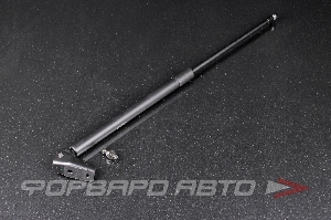 Амортизатор задней двери HONDA Odyssey (RA1-4) 95-99 R NAKAYAMA GS838NY