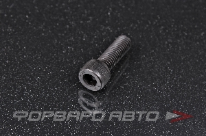 Винт цилиндр. с внутренним шестигранником М8*25 DIN912 высокопр. пр.12,9  