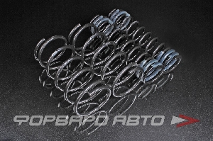 Пружины для автомобиля ВАЗ 2110 перед/зад (-3см) PRO-KIT EIBACH E10-47-001-01-22