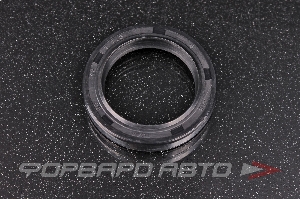 Сальник высокого давления 30*42*7/8 1PM TCS F-00458