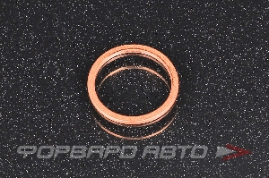 Прокладка сливной пробки 18*22*1,5 BMW 07 11 9 963 308