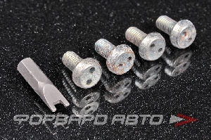 Крепление накладки под номер (4 винта и бита для шуруповерта с секретностью) 4шт ЛАДЬЯ 127.07.05