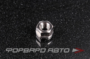 Купить Гайка М6*1,0*6 SW10 титановая с фланцем d - фланца = 12мм (без зубов) FORA TITANIUM DIN6923-M6dc12withoutteeth Гайка М6*1,0*6 SW10 титановая с фланцем d - фланца = 12мм (без зубов) FORA TITANIUM DIN6923-M6dc12withoutteeth