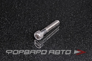 Винт цилиндр. с внутренним шестигранником нерж. М8*40 DIN912 A2  