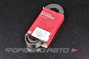 Ремень поликлиновой DONGIL 8PK1544