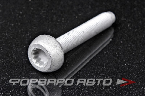 Болт М12*1,5*80, головка Torx крепления амортизатора передней подвески, нижний VAG N 909 548 02