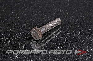 Болт М6*1,0*25 черн. <> 