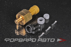 Сенсор давления латунный 5 BAR / 75PSI (Brass PSIg Sensors) 1/8" NPT AEM 30-2131-75