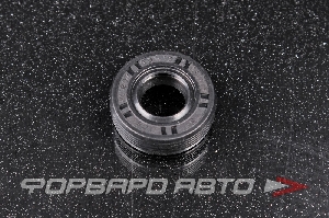 Сальник высокого давления 10*21*7 (б/н) рез. 1PM NAK F-00574