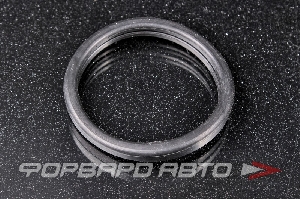 Прокладка термостата (48мм) HANS PRIES 302261015