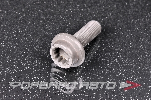 Болт М10*1,25*29 шестерни распредвала, ключ torx VAG N91 203 301