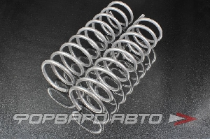 Пружины задние ВАЗ 2101-2107 Стандарт SS20 SS30107
