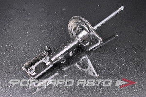 Амортизатор задний, левый MILES DG11069