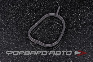 Прокладка термостата EPS 1.890.697