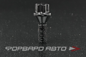 Купить Болт колеса 12*1,5*28 конус, спецключ, сталь, черный TPI B7775028BC Болт колеса 12*1,5*28 конус, спецключ, сталь, черный TPI B7775028BC