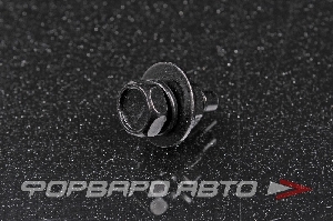 Болт М6*1,0*13 с гайкой. черный MASUMA BJ-010