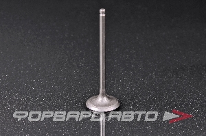 Клапан выпускной HAVAL 1007012ED01