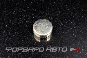 Купить Заглушка блока двигателя WPB-25мм   Заглушка блока двигателя WPB-25мм