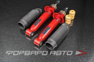 Амортизатор задний для автомобиля ВАЗ-2108 (занижение -50мм) RACING СПОРТ SS20 SS20166
