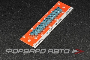 Колпачки маслосъемные RB26DETT (1/24) NISSAN (M=VITON+Spring SAE108) ITE IVS090671-I00