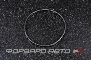 Кольцо уплотнительное маслостойкое 70*2,5 NOK OR-02.50_070.00