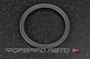 Кольцо уплотнительное VAG 038 103 196 B