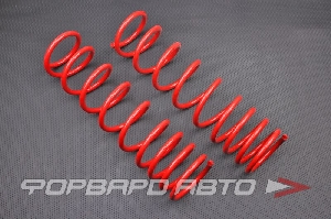 Пружины задние для автомобиля ВАЗ 2108-2110, 1117-1119, 2170, 2190 (занижение -30мм) Racing SS20 SS30139