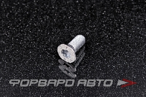 Болт М6*1,0*11 тормозного диска конусный потайной Torx VAG N 106 483 01