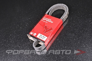 Ремень поликлиновой DONGIL 7PK1640